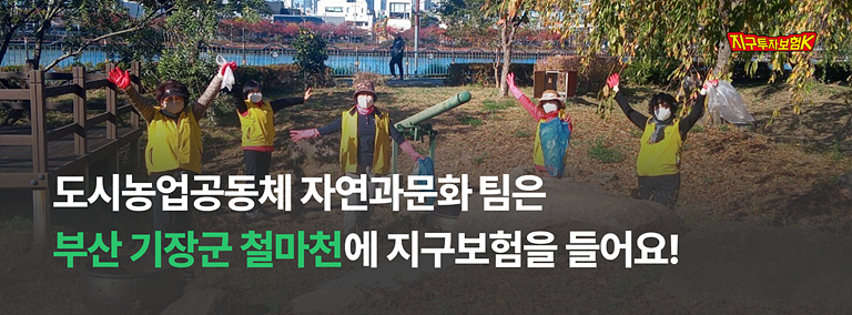 이타뉴스