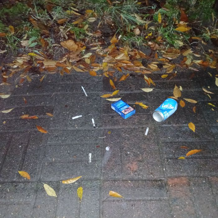  광양시.동네.쓰레기.플로깅