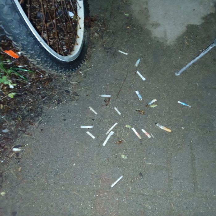  광양시.동네.쓰레기.플로깅