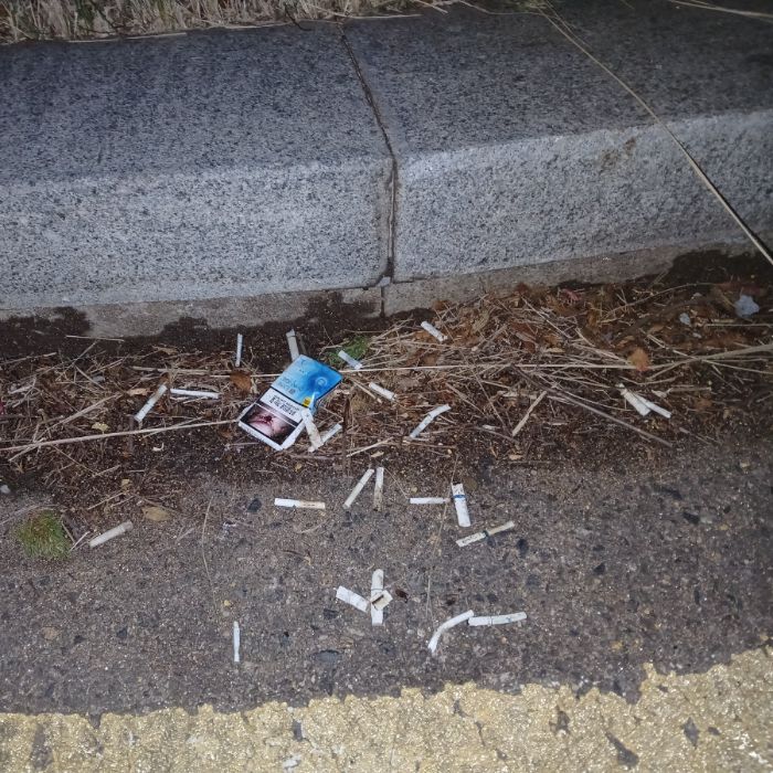  광양시.동네.쓰레기.플로깅