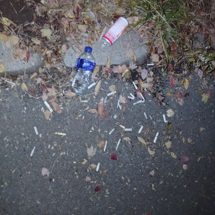  광양시.동네.쓰레기.플로깅