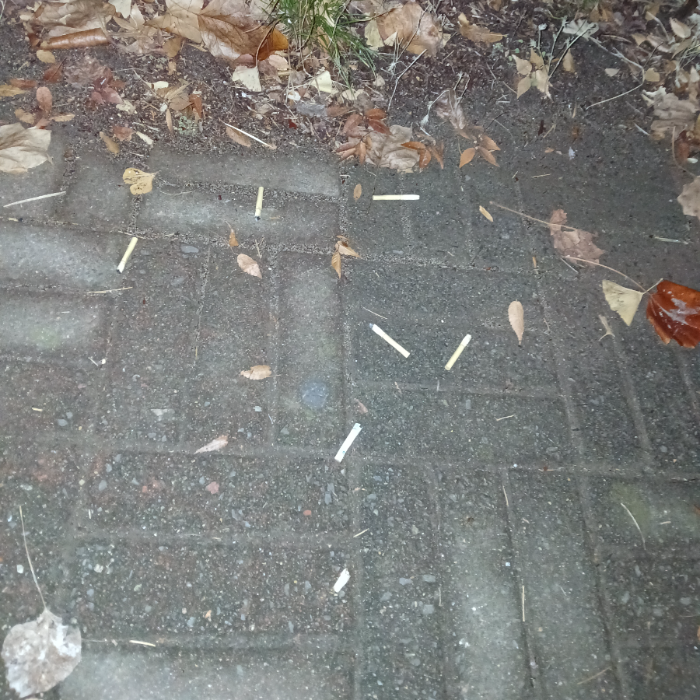  광양시.동네.쓰레기.플로깅