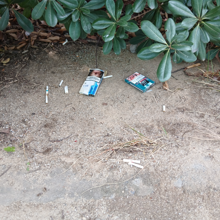  광양시.동네.쓰레기.플로깅