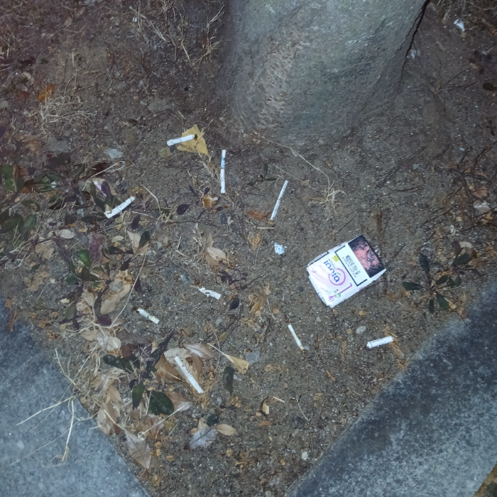  광양시.동네.쓰레기.플로깅