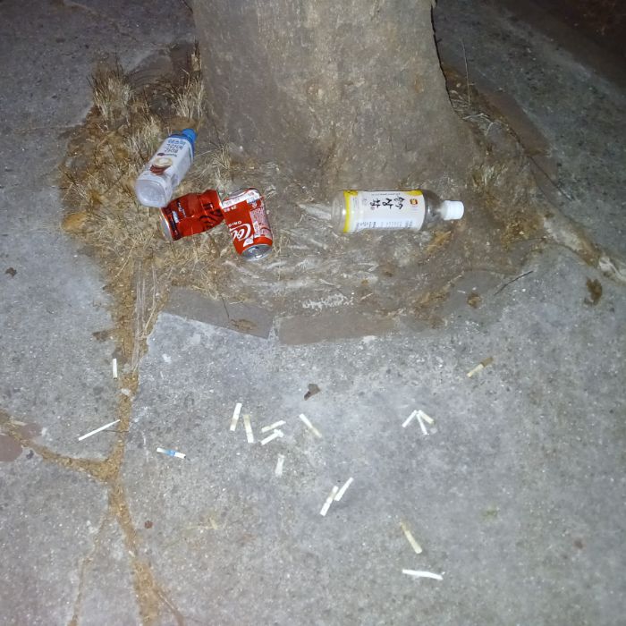  광양시.동네.쓰레기.플로깅