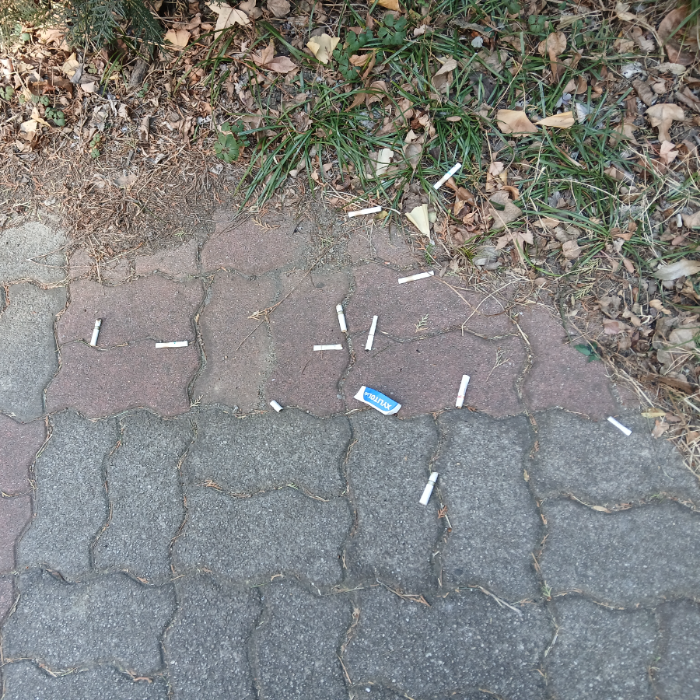  광양시.동네.쓰레기.플로깅