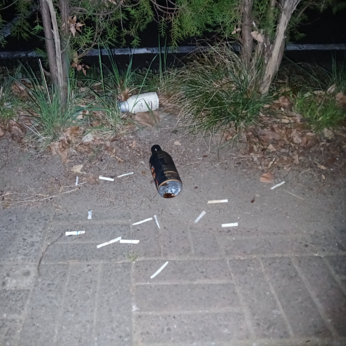  광양시.동네.쓰레기.플로깅