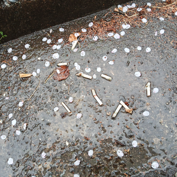  광양시.동네.쓰레기.플로깅