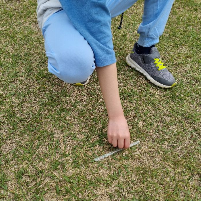  당진시.동네.쓰레기.플로깅