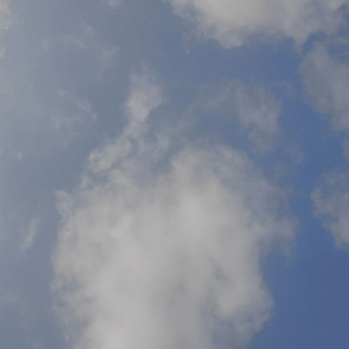  화성시.동네.쓰레기.플로깅