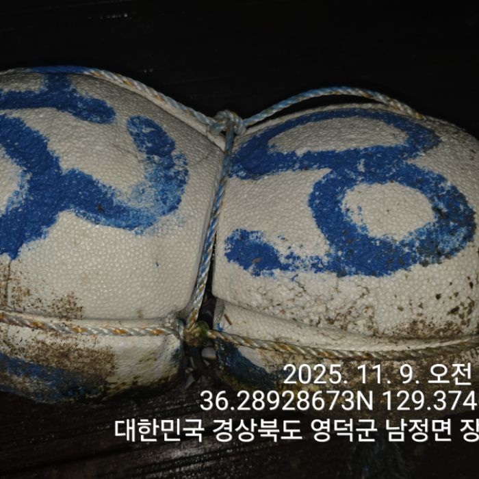  영덕군.동네.쓰레기.플로깅