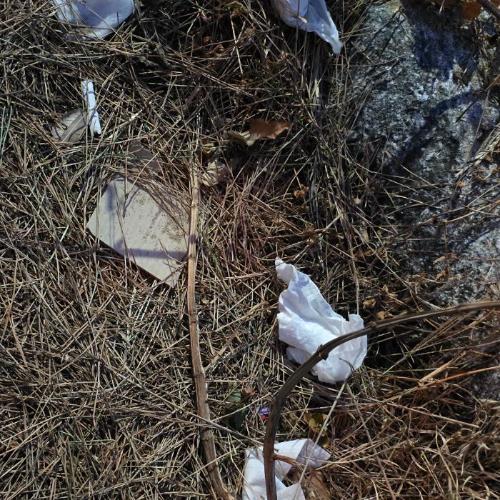  영덕군.동네.쓰레기.플로깅