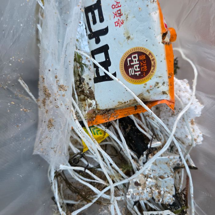  영덕군.동네.쓰레기.플로깅