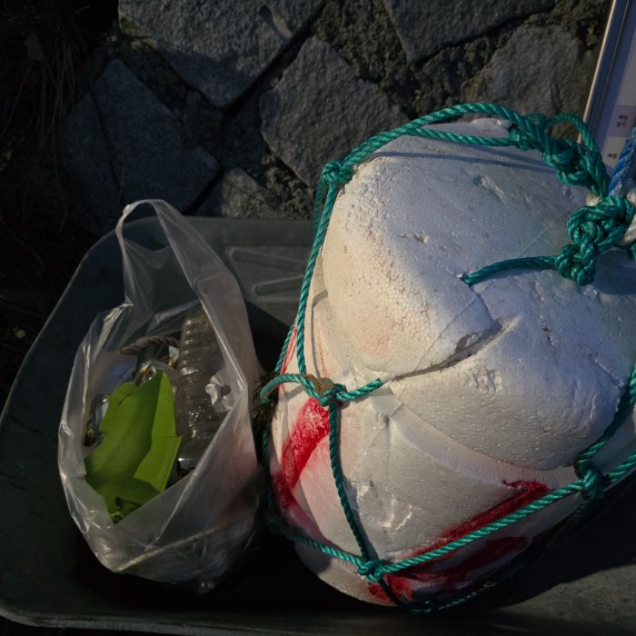  영덕군.동네.쓰레기.플로깅