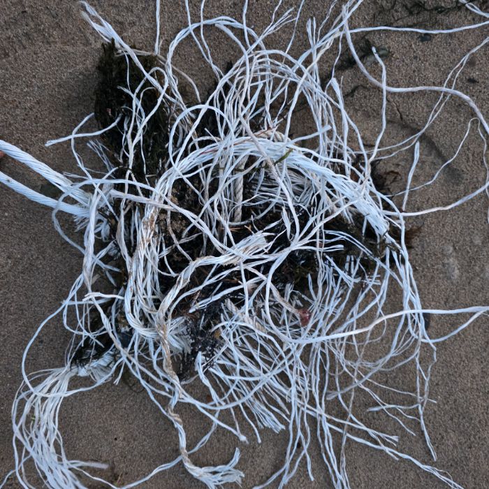  영덕군.동네.쓰레기.플로깅