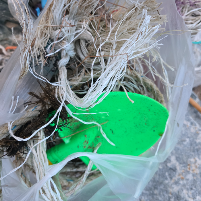  영덕군.동네.쓰레기.플로깅