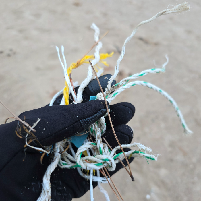  영덕군.동네.쓰레기.플로깅