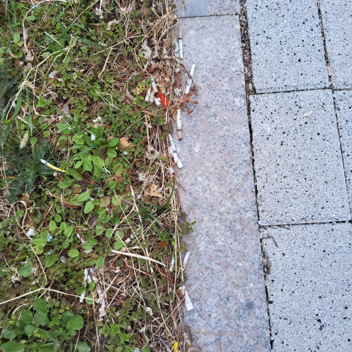  광양시.동네.쓰레기.플로깅