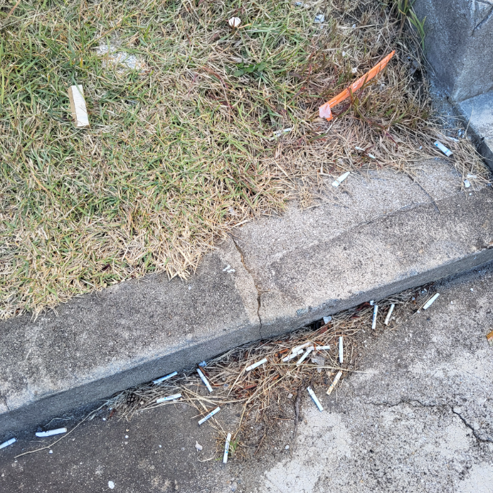  광양시.동네.쓰레기.플로깅