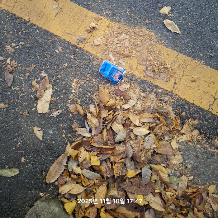  서울강남구.동네.쓰레기.플로깅