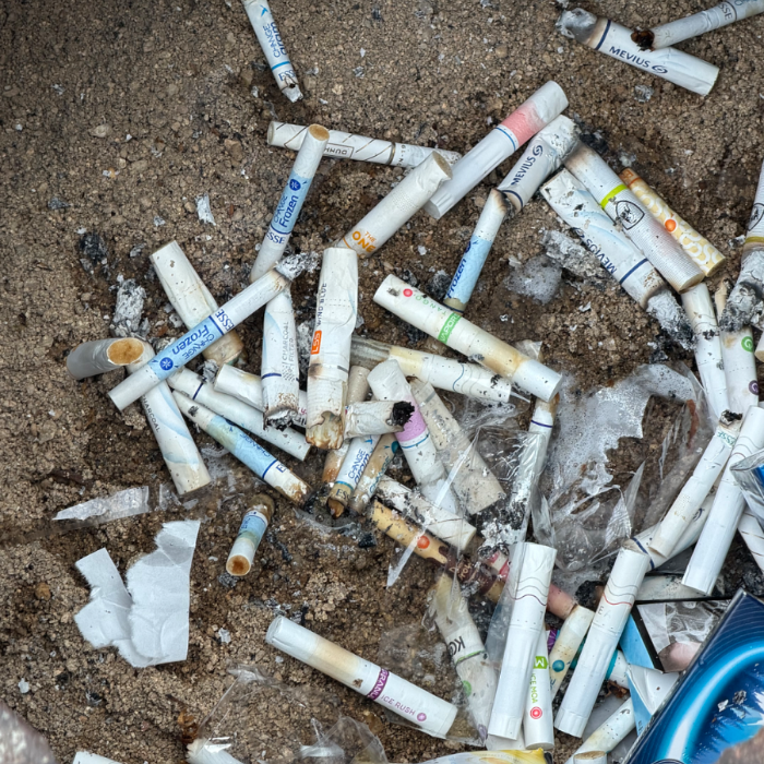  대구북구.동네.쓰레기.플로깅