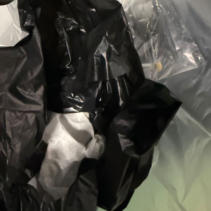  서울강남구.동네.쓰레기.플로깅