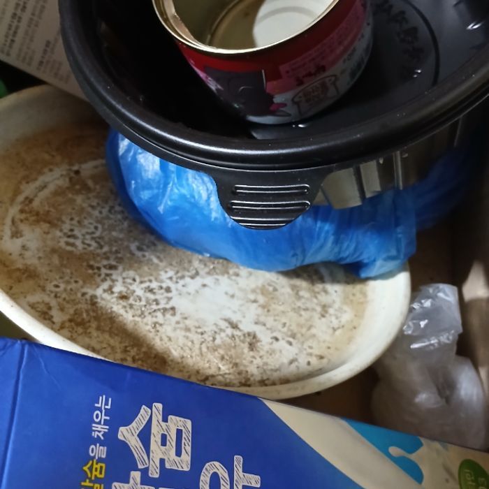  춘천시.동네.쓰레기.플로깅