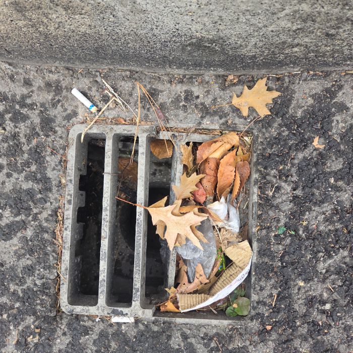  파주시.동네.쓰레기.플로깅