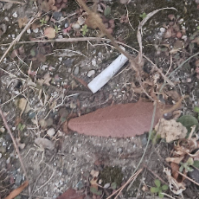  창원시.동네.쓰레기.플로깅