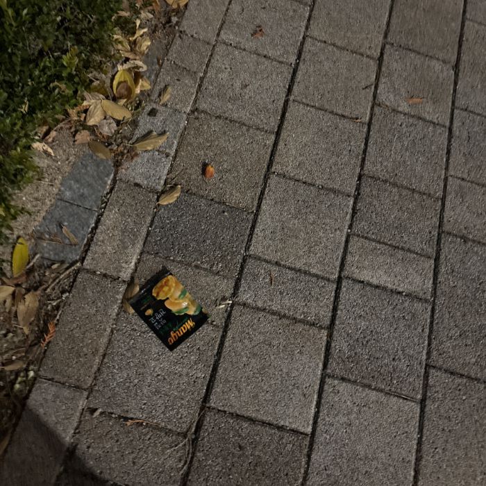  서울강남구.동네.쓰레기.플로깅