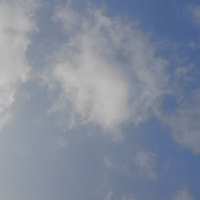  화성시.동네.쓰레기.플로깅