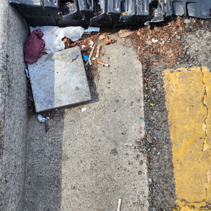  서울강남구.동네.쓰레기.플로깅