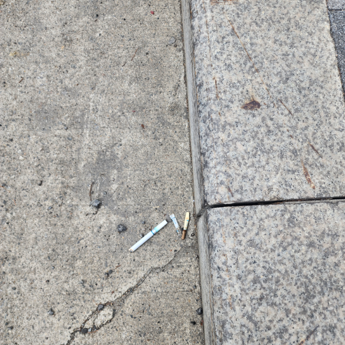  서울강남구.동네.쓰레기.플로깅