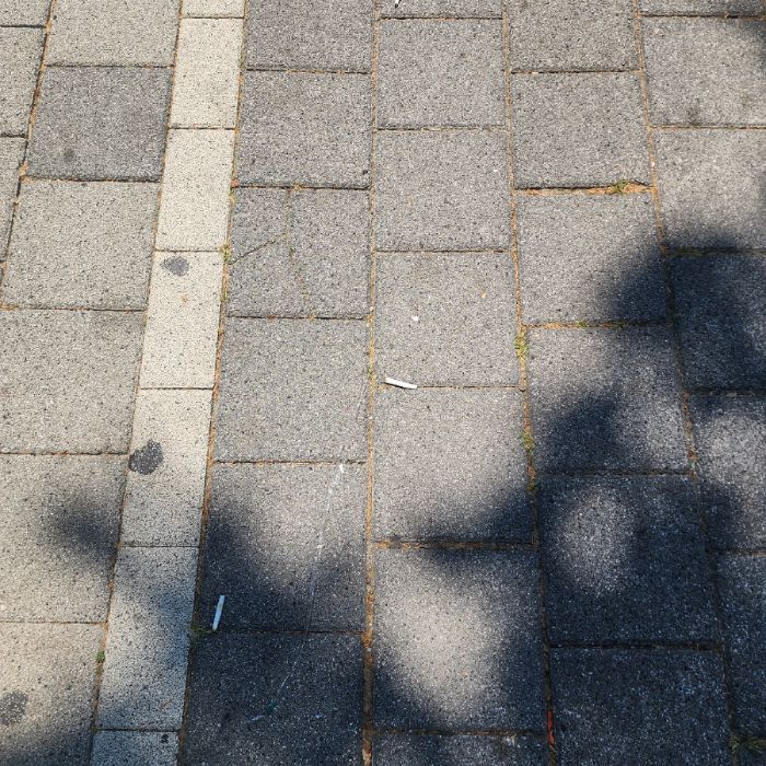  서울강남구.동네.쓰레기.플로깅