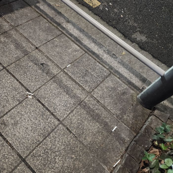  서울강남구.동네.쓰레기.플로깅