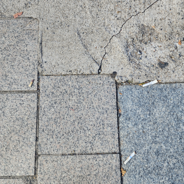  서울강남구.동네.쓰레기.플로깅