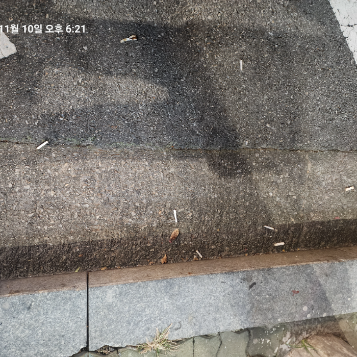  서울강남구.동네.쓰레기.플로깅