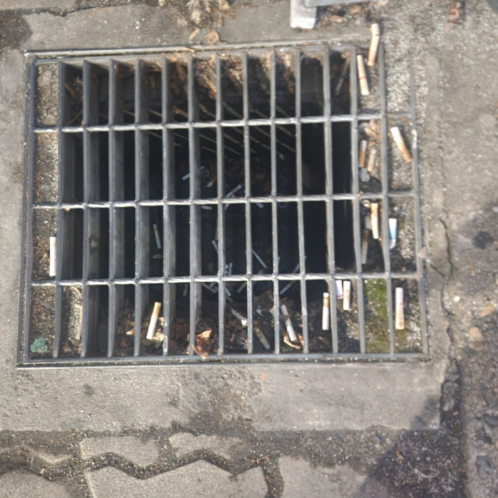  서울강남구.동네.쓰레기.플로깅