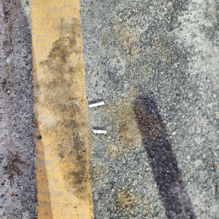  서울강남구.동네.쓰레기.플로깅