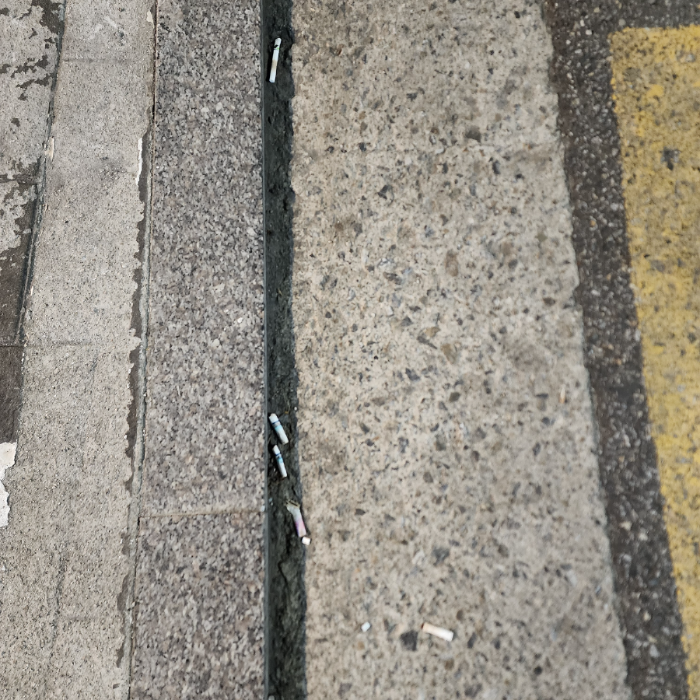  서울강남구.동네.쓰레기.플로깅