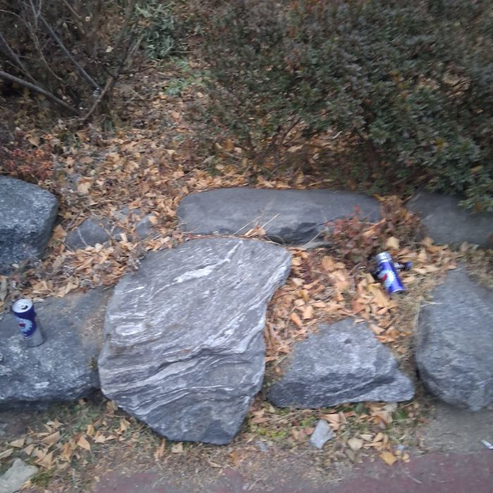  창원시.동네.쓰레기.플로깅