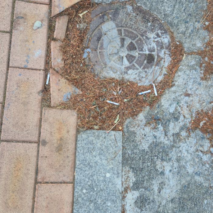  창원시.동네.쓰레기.플로깅