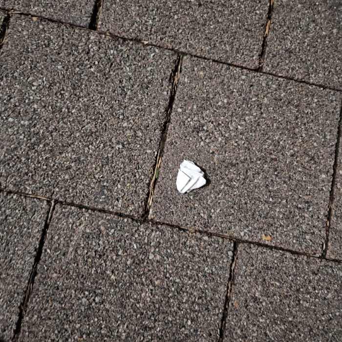  서울강남구.동네.쓰레기.플로깅