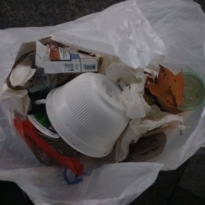  파주시.동네.쓰레기.플로깅