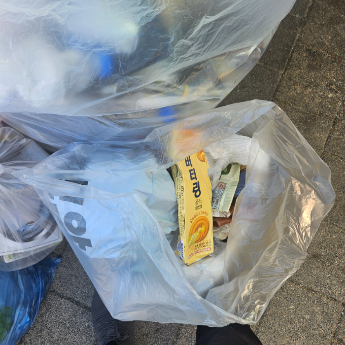  강릉시.동네.쓰레기.플로깅