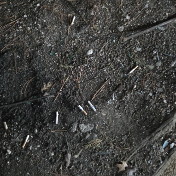  서울강남구.동네.쓰레기.플로깅