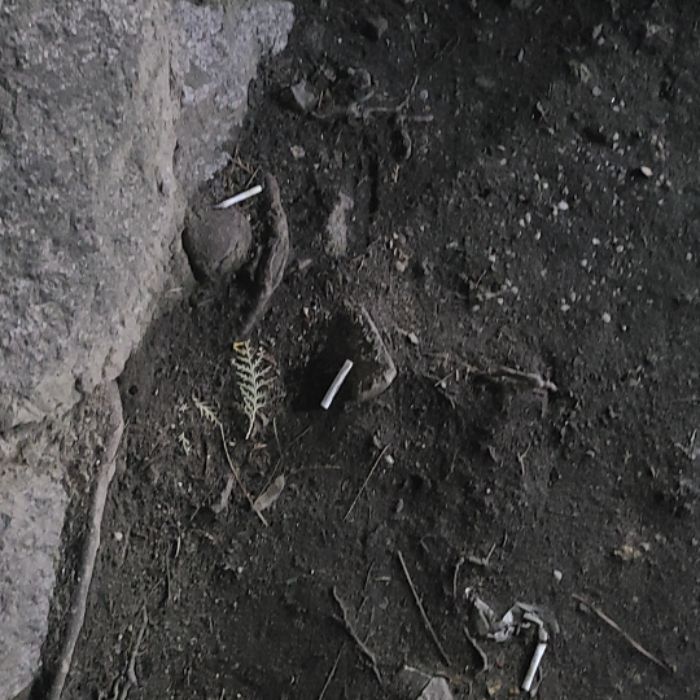  서울강남구.동네.쓰레기.플로깅