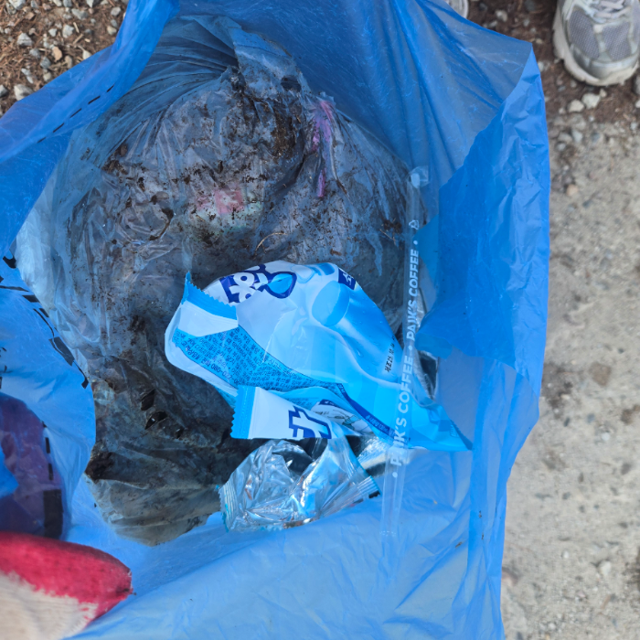  파주시.동네.쓰레기.플로깅