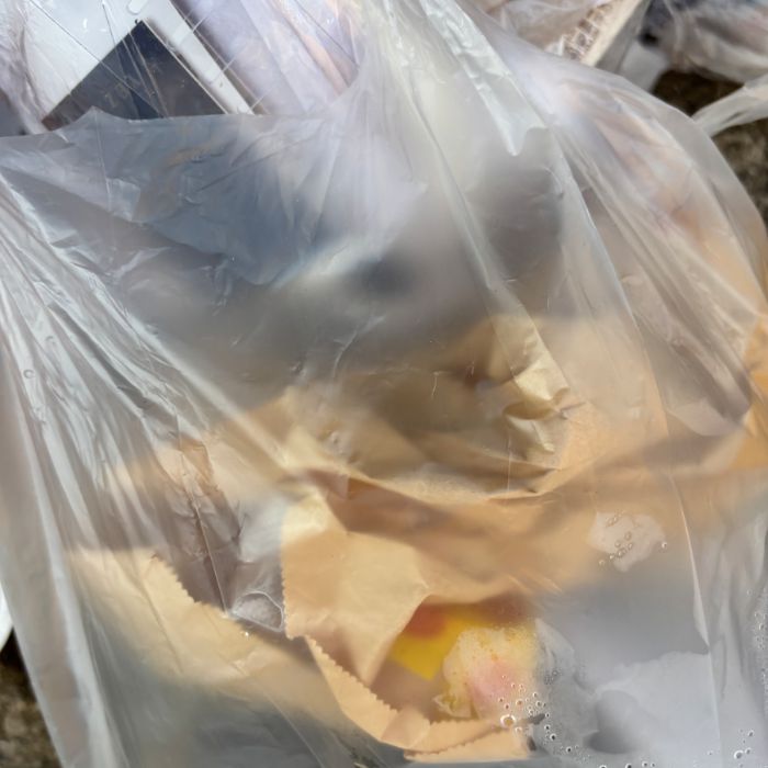  사천시.동네.쓰레기.플로깅