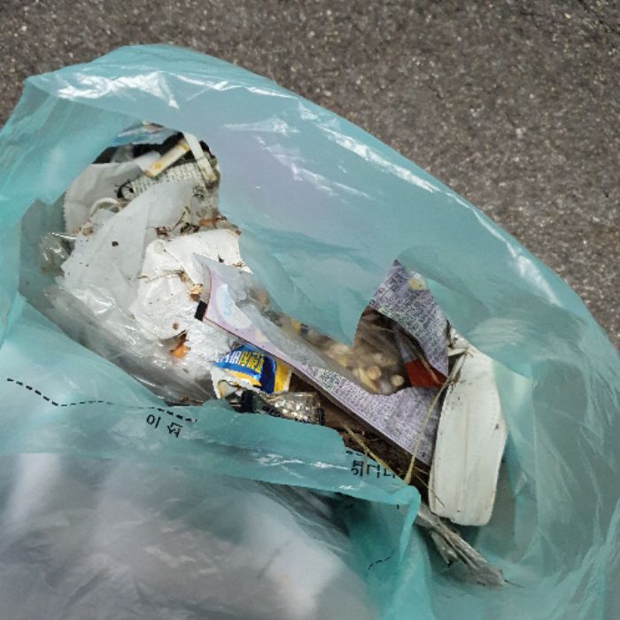  강릉시.동네.쓰레기.플로깅